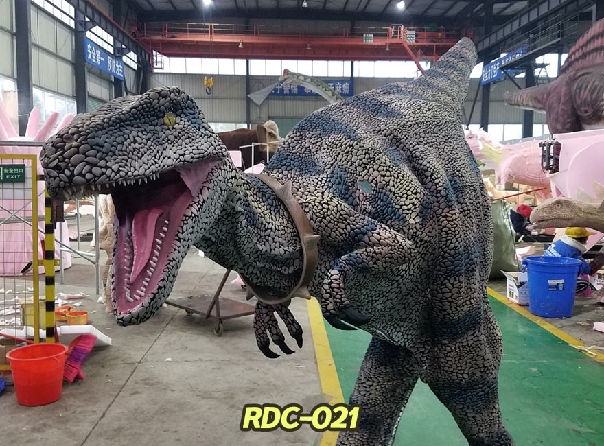 Dinosaur Playground Equipment -21-RDC