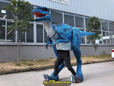 Dinosaur Costume for Sale