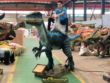 Raptor rides for Amusement Park