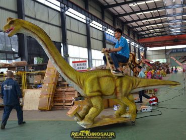 Ride On Dino for amusement
