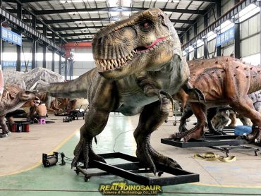 T Rex Dinosaur model