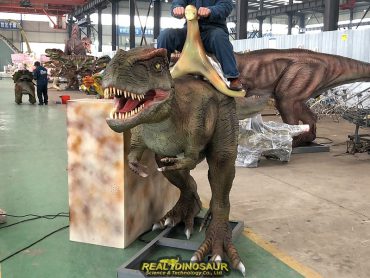 T-Rex Rides for Amusement Park