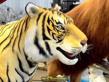 Tiger Models for Sale