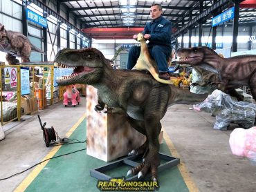 animatronic t-rex ride