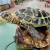 animatronic turtle