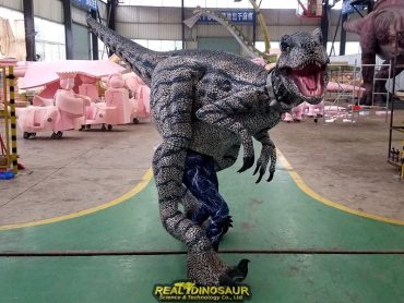 custom dinosaur costume