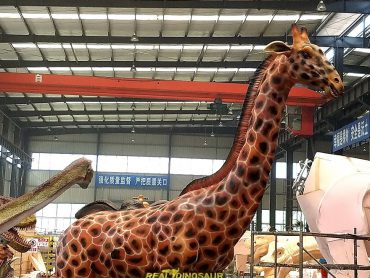 giraffe rides for giraffe restaurant