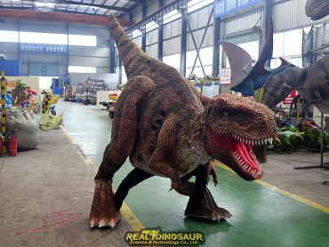 t rex dinosaur costume