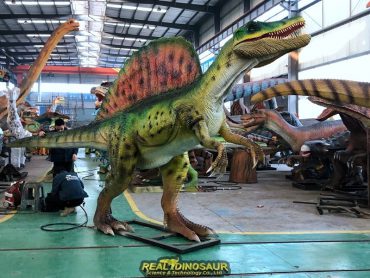 Spinosaurus Models