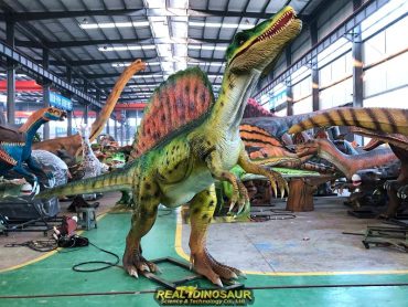 Spinosaurus Models for park