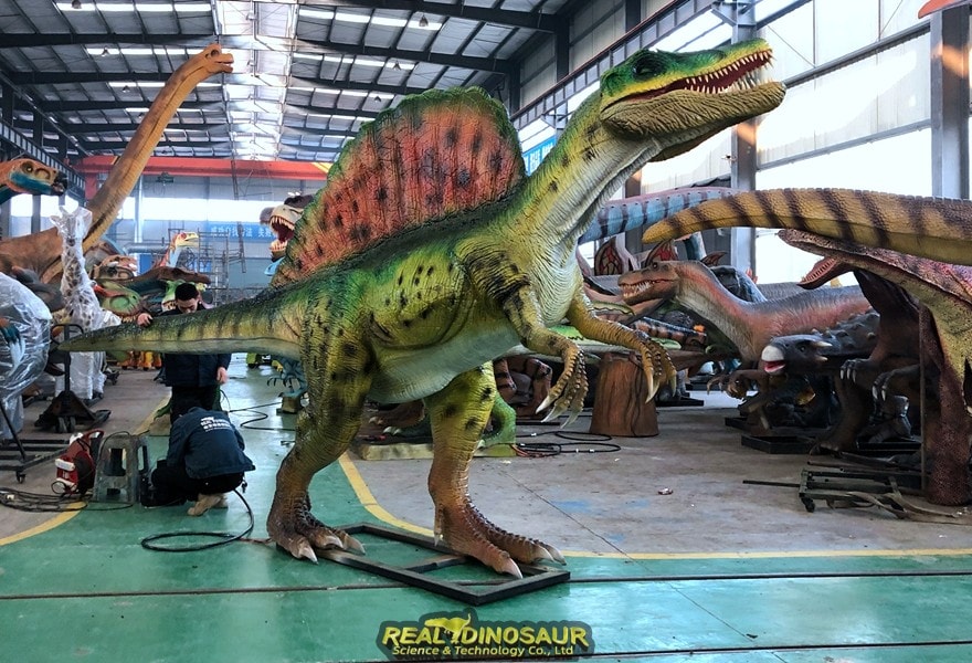 Spinosaurus Models