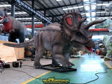 animatronic Triceratops