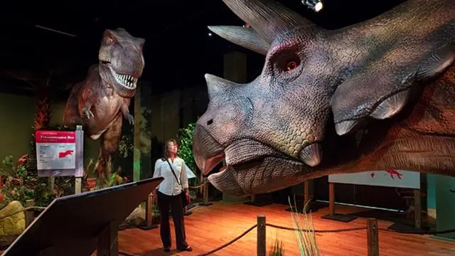 Animatronic Dinosaurs in Museums