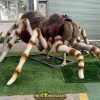 Animatronic Spider