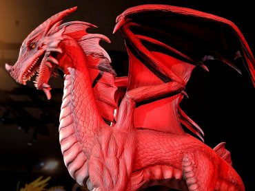 Dragons model