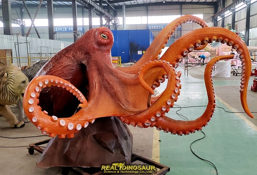 octopus models