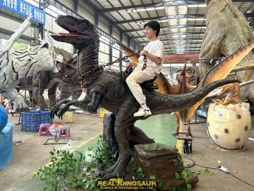 riding dinsoaur for kids