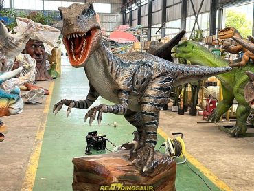 Animatronic Raptor for Sale