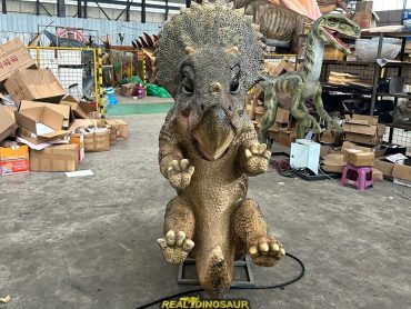 Baby Triceratops Model for Park