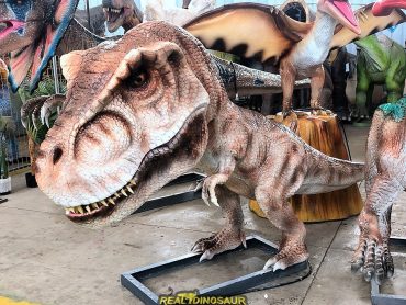 Big Head dinosaur for Amusement Park