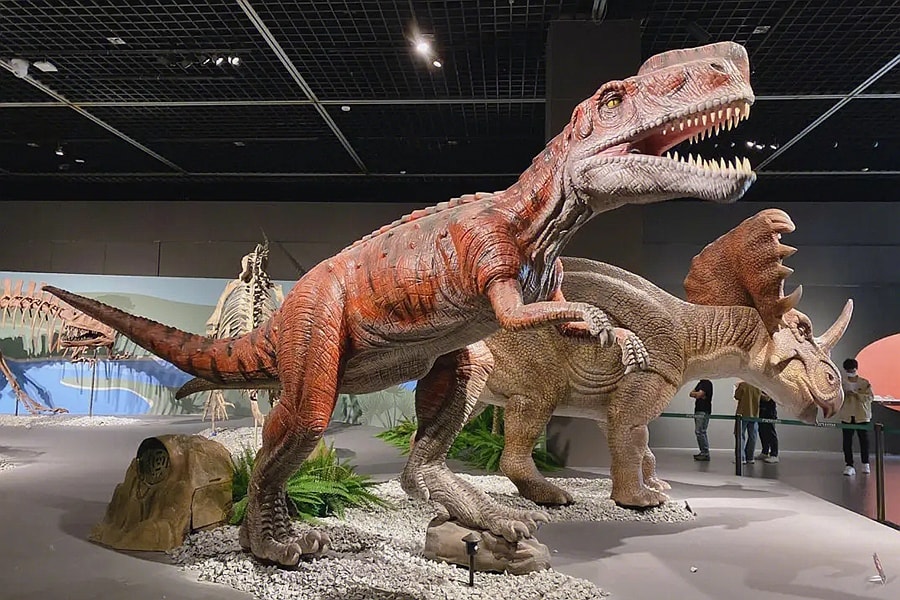 Classification of Dinosaur Exhibitions