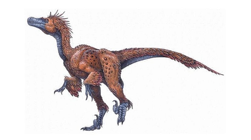 Cretaceous Killer - Deinonychus