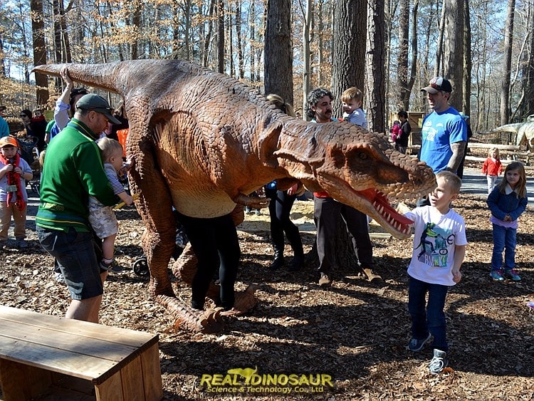 Dinosaur Exhibition for park