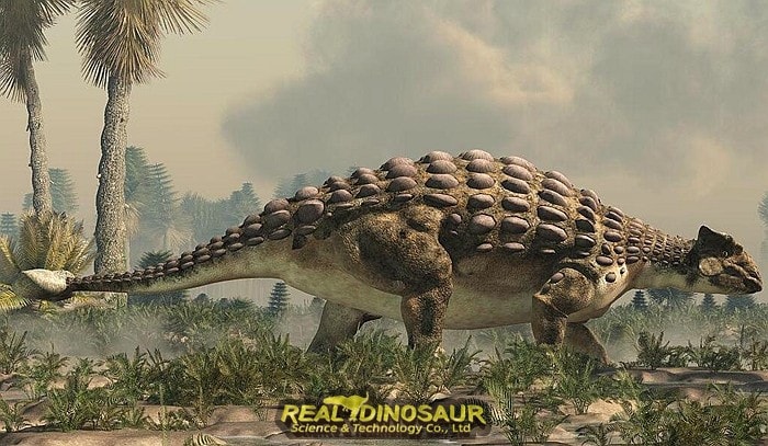 Dinosaur with Full Body Armor Ankylosaurus