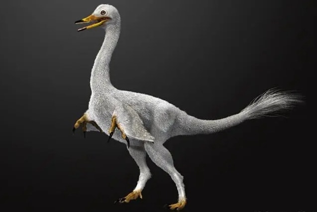 Halszkaraptor
