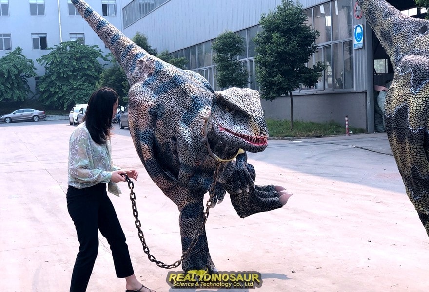 Hot-selling Large Dinosaur Costume