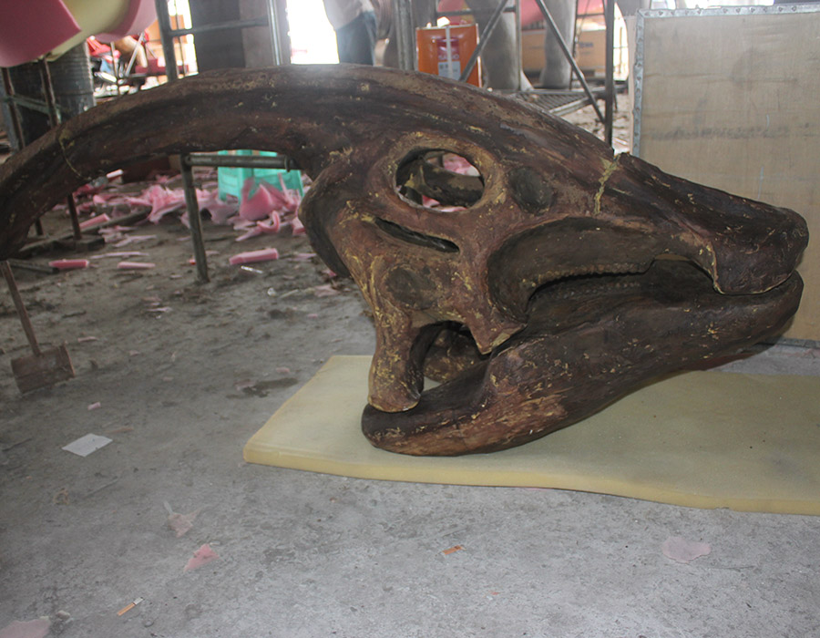 Replica Dinosaur Skull Fossils-Parasaurolophus