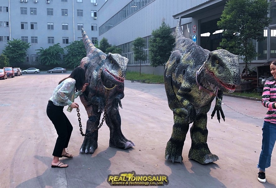 Large Dinosaur Costume