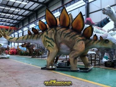 Life-size Stegosaurus Model