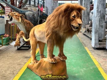 Lion Model