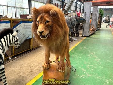 Lion Model for Sale