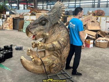 Realistic Baby Triceratops Model for Park