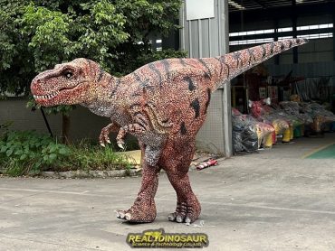 Realistic T-Rex Costume for sale