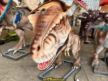 t-rex with Big Head